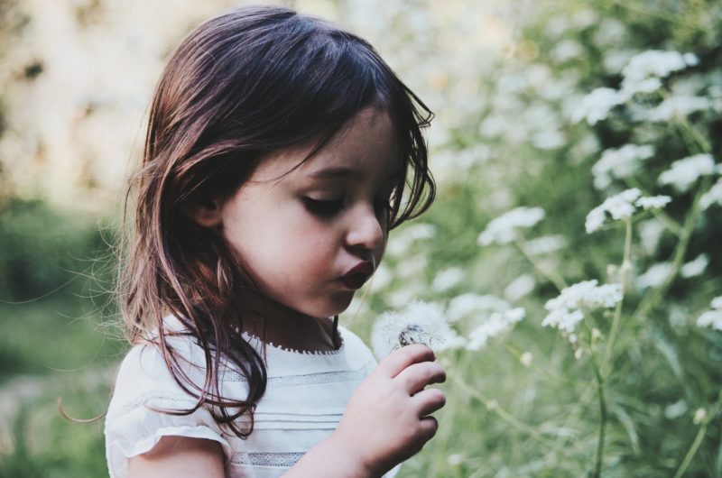 small girl outside holding a dandelion