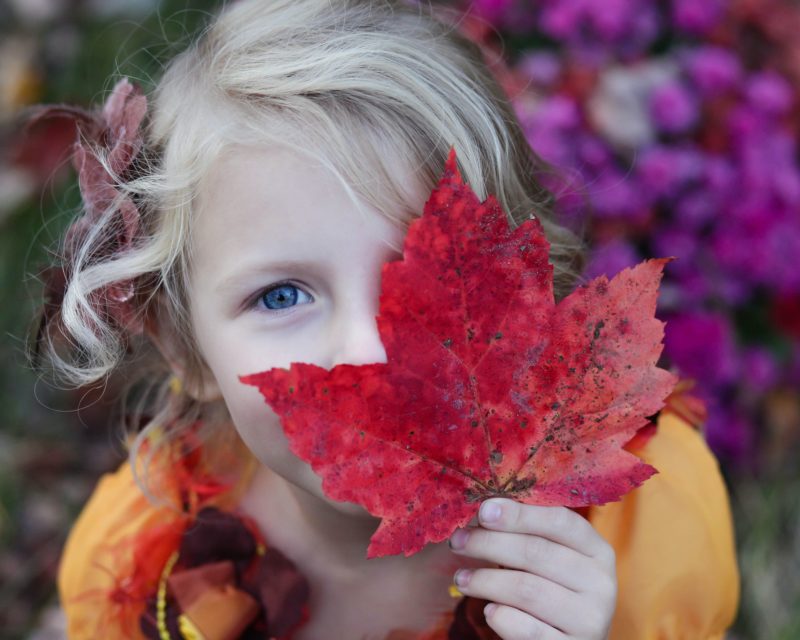 little blond girl holding red leaf