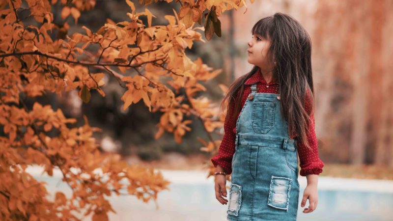 small girl in red shirt looking at tree