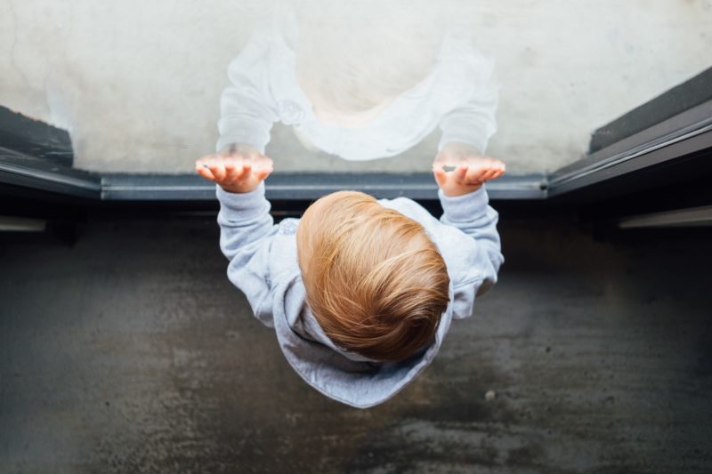 small child with hands on window